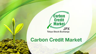 Carbon Credit Market